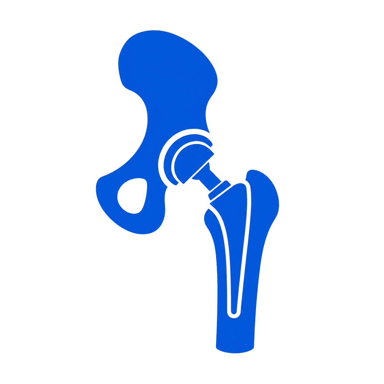 Hip Replacement icon